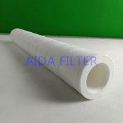 NGGC-336-PL-01 Natural gas filter